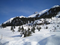 neve