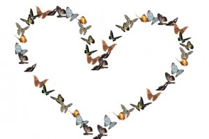 coeur papillons