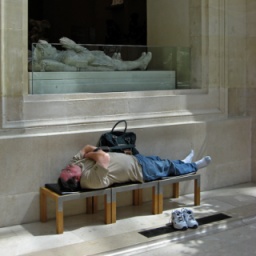 Pocket Louvre -  visitare il Louvre in 1h30